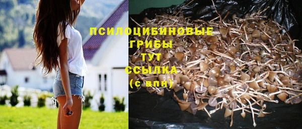 кокаин Гусев