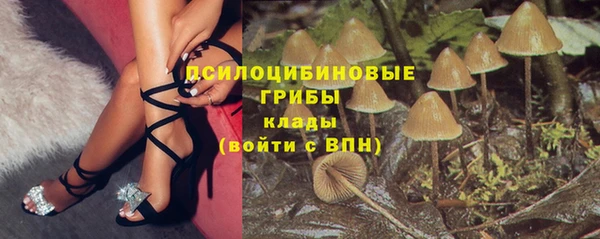 прущая мука Гусь-Хрустальный