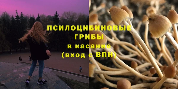 прущая мука Гусь-Хрустальный