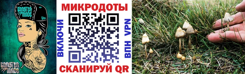 МЕГА вход  Наро-Фоминск  Псилоцибиновые грибы MAGIC MUSHROOMS 