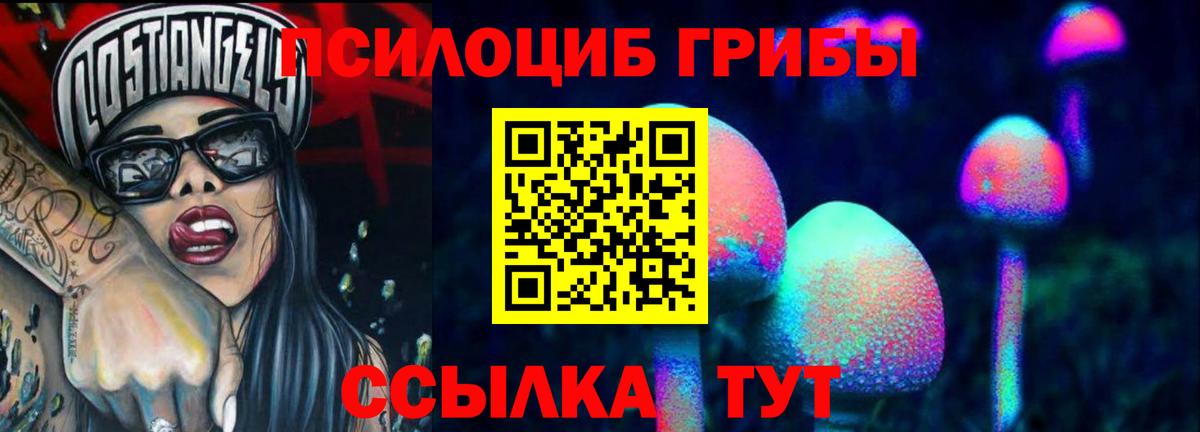 купить закладку  Псилоцибиновые грибы Psilocybine cubensis  Вход с VPN  Галлюциногенные грибы Cubensis  Наро-Фоминск 